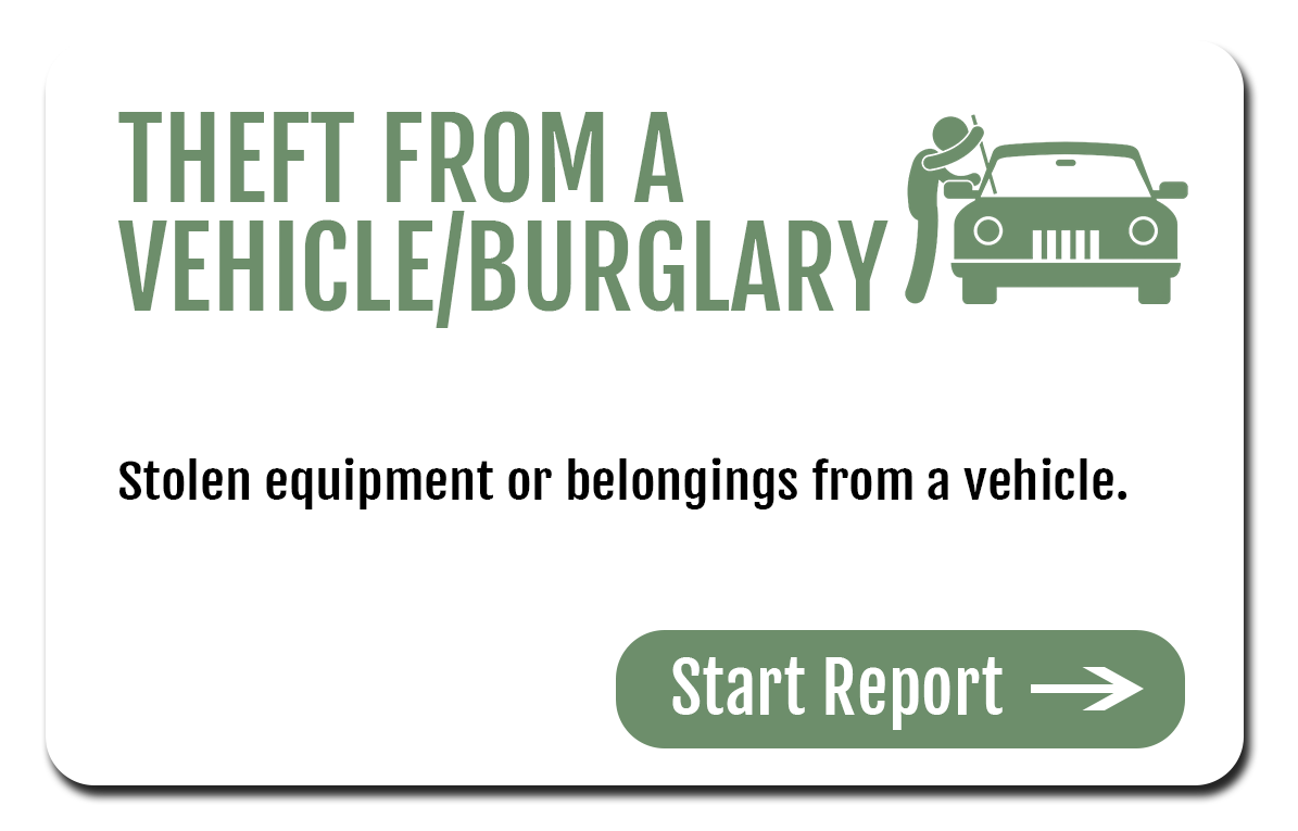 Theft From a Vehicle NEW(white)